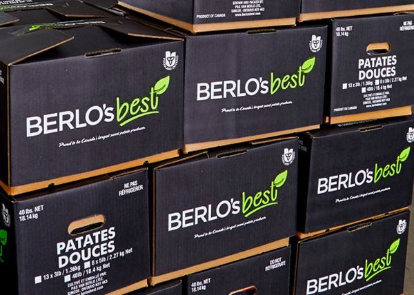 Berlo's Best Box
