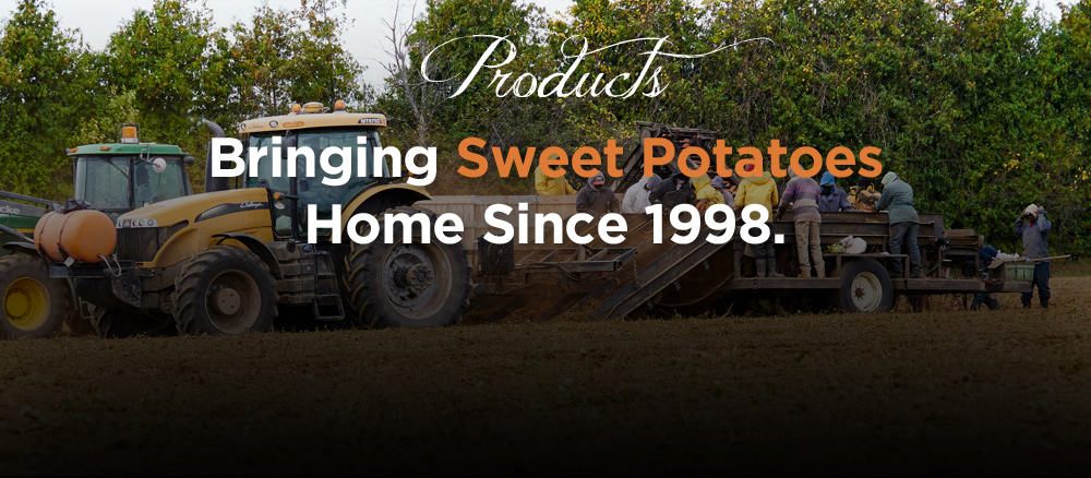 Bringing Sweet Potatoes Home since 1998
