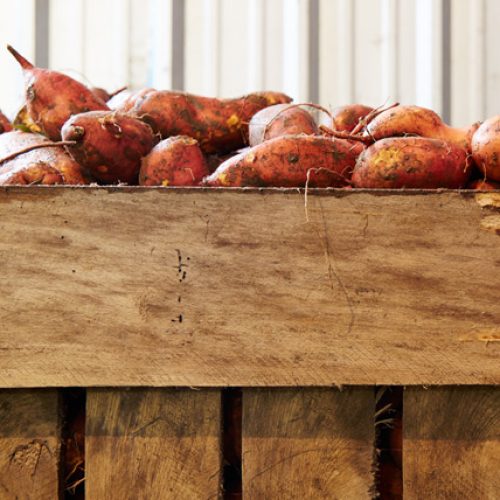 Products-storage-tips